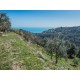 Properties for Sale_EXCLUSIVE FARMHOUSE TO RENOVATE WITH SEA VIEW in Fermo in the Marche in Italy in Le Marche_16